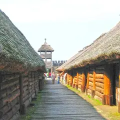 Drewniane domy kryte strzechą tworzą uliczkę w Biskupinie. W oddali widać wieżę strażniczą.