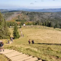Ile schodów na Gęsią Szyję? Odkryj wyzwania tej trasy!