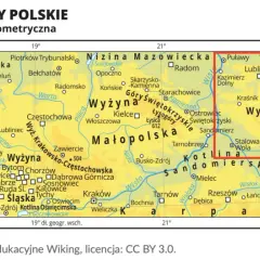 Co uprawia się na wyżynie lubelskiej? Odkryj zaskakujące rośliny