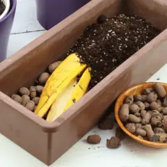 Nawóz ze skórek banana: Które rośliny pokochają tę odżywkę?