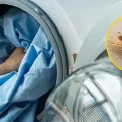 Wszy na pościeli mogą przeżyć kilka dni poza żywicielem. Pranie w wysokiej temperaturze zabija je.
