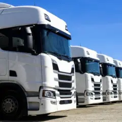 Białe ciężarówki stojące w rzędzie pod błękitnym niebem. Idealny widok dla tych, którzy zastanawiają się, jak założyć firmę transportową.