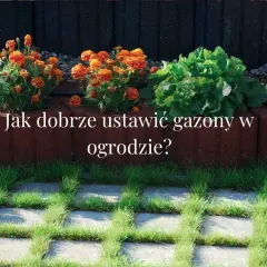 Piękne gazony ogrodowe aranżacje z pomarańczowymi aksamitkami i zielonymi roślinami. Dowiedz się, jak je ustawić.