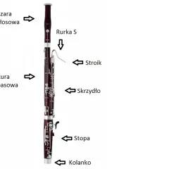 Fagot - instrument orkiestralny, historia, budowa, cena, nauka gry