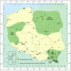 Gdzie leżą Suwałki? Odkryj ich wyjątkowe położenie w Polsce