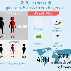 Il favismo, o carenza di G6PD, è una condizione genetica. L'infografica mostra cosa evitare: naftalina, alcuni medicinali, acqua tonica, mentolo, vini e fave.