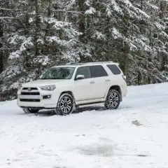 Biały SUV z napędem **awd** stoi na zaśnieżonej drodze w lesie.