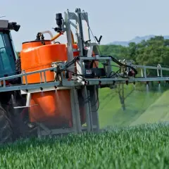 Ciągnik z opryskiwaczem, który rozpyla środek ochrony roślin, np. trineksapak etylu, na zielone pole.