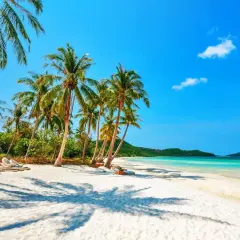 Rajska plaża z palmami i leżakami, idealne miejsce, gdzie na wakacje w październiku.