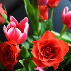Bukiet czerwonych róż i różowych tulipanów, idealny na imieniny Magdaleny.