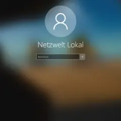 Windows Anmeldebildschirm. Benutzer "Netzwelt Lokal" wartet auf Kennworteingabe. Ich habe meinen Windows PIN vergessen.