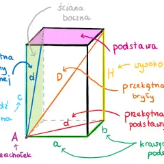 Ilustracja bryły z oznaczeniami: podstawa, wysokość, krawędzie, przekątne.