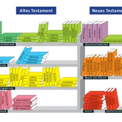 Bücherregal mit Büchern, die den Inhalt des Neuen Testaments darstellen, sortiert nach Gattungen wie Geschichtsbücher, Briefe des Paulus und prophetische Bücher.