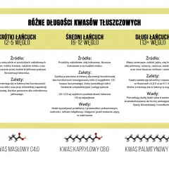Krótkołańcuchowe kwasy tłuszczowe: 5 korzyści dla zdrowia