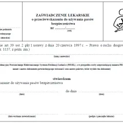 Kto może jeździć bez pasów bezpieczeństwa? Oto ważne wyjątki