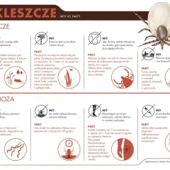 Kleszcze atakują z traw i krzewów, nie skaczą z drzew. Unikaj jasnych ubrań, bo przyciągają kleszcze. Co zabija kleszcze? Nie ma prostego sposobu, ale odpowiednie ubranie i szybkie usunięcie po ukąszeniu minimalizuje ryzyko.