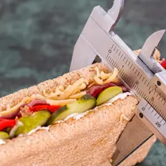 Messung eines Sandwiches mit einem Messschieber, um die Kalorienaufnahme zu kontrollieren. Vielleicht 1500 Kalorien am Tag?