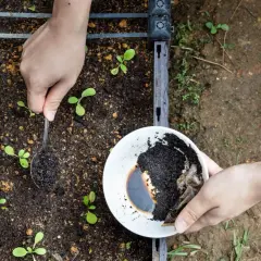 Praktyczne sposoby na wykorzystanie fusów z kawy w ogrodzie i domu