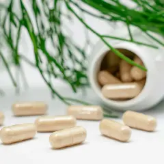 Kapseln und grünes Blattwerk. Mögliche Wechselwirkung Magnesium Blutdrucksenker? Natürliche Heilmittel im Fokus.