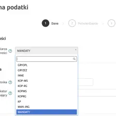 Jak szybko i bezpiecznie zapłacić mandat z Austrii przez internet – krok po kroku