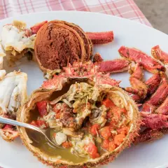 Centollo marisco preparado en una fuente blanca, con su coral y patas rojas. Una cuchara sirve el interior jugoso.