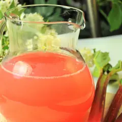 Rześki kompot z rabarbaru w dzbanku, obok świeże łodygi. Idealny przepis na lato.