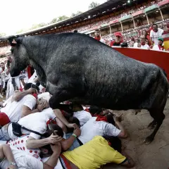 Un toro gris salta sobre un montón de gente en los chiqueros de la plaza de toros.
