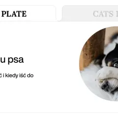 Chory piesek z zasłoniętymi oczami. Artykuł o biegunce u psa i kiedy należy udać się do weterynarza.