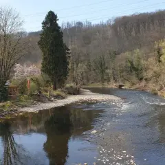 Idyllische Flusslandschaft am Wupperhof Solingen mit Fachwerkhäusern und bewaldeten Hängen.