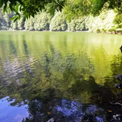 Reflejos verdes y azules en la serena Lagoa do Congro, rodeada de exuberante vegetación y rocas cubiertas de musgo.