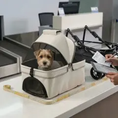 Un petit chien dans son panier, prêt pour l'avion. L'agent vérifie les dimensions, espérant éviter tout traumatisme pour le voyage.