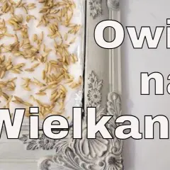 Kiedy siać owies na Wielkanoc, aby cieszyć się świeżymi zbiorami