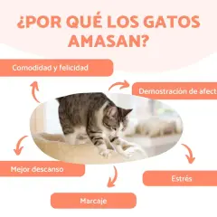 Un gato amasa en su cama, mostrando comodidad, afecto, mejor descanso, marcaje y alivio del estrés.
