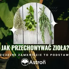 Zioła wiszące do wysuszenia i paczka herbaty. Dowiedz się, ile mogą stać zaparzone zioła, gdy są szczelnie zamknięte.