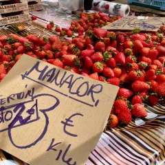 Frische Erdbeeren auf einem Markt in Manacor Altstadt. Ein Schild zeigt "Oferton Medio 3€ Kilo".