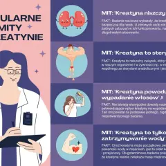Kreatyna na co? Grafika obala mity o kreatynie: nie niszczy nerek, nie jest sterydem, nie powoduje wypadania włosów ani tylko zatrzymywania wody.