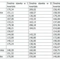 Ile zarabia lekarz rodzinny w Polsce? Zarobki 2026, stawki, koszty
