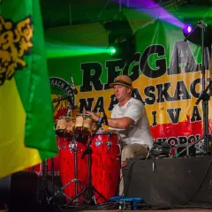 Perkusista polskiego zespołu reggae gra na congasach na scenie.