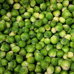 Un montón de coles de Bruselas verdes y frescas. ¡Los perros pueden comer coles de Bruselas, así que quizás tu mascota disfrute de un pequeño bocado!