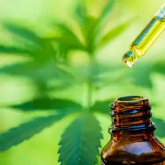 Gota de aceite CBD cayendo de un gotero a una botella ámbar, con hojas de cannabis al fondo. Descubre qué es el CBD.