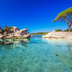 Traumhafte Bucht mit Felsen und einem Pinienbaum. Perfekt für die Frage: wohin im Oktober? Türkises Wasser lädt zum Schwimmen ein.