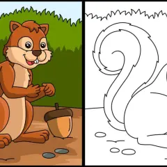 Dibujo ardilla para colorear, con su bellota lista para ser pintada.