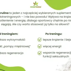 Cytrulina przed czy po treningu? Maksymalizuj pompę i wydajność!