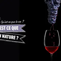 Gouttez le meilleur vin nature ! Des grappes de raisin tombent dans un verre, le vin rouge coule. Le texte "Qu'est-ce que le vin ? Qu'est-ce que le vin nature ?" est affiché.