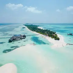 Rajska **Malediwy plaża** z turkusową wodą, białym piaskiem, palmami i luksusowymi domkami na wodzie.