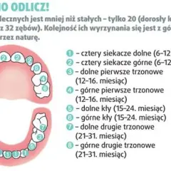 Kiedy pierwsze zęby u niemowlaka? Odkryj, co warto wiedzieć