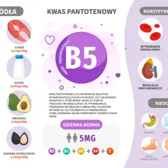 Kwas pantotenowy (B5) wspiera metabolizm, układ nerwowy i skórę. Znajduje się w jajkach, łososiu, mleku, orzechach i awokado.