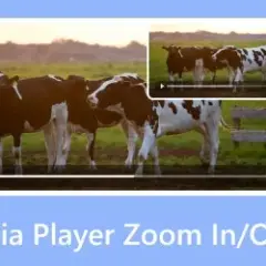 VLC i inne: Jak zrobić zdjęcia z filmu w najlepszej jakości?