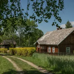 Skansen Nowy Sącz: godziny, ceny, atrakcje planuj wizytę!