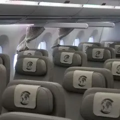 Innenansicht eines Flugzeugs mit Reihen von grauen Sitzen, die für den Bundeskanzler und seine Delegation reserviert sind. Jede Kopfstütze ziert ein Emblem mit der Weltkugel.